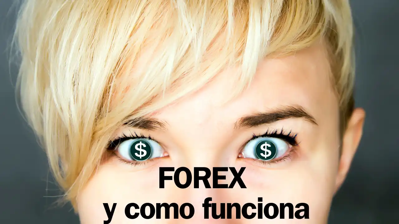 Qué Es El Forex Y Como Funciona Para Principiantes 1999